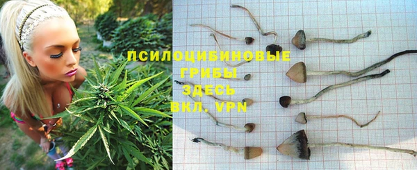 шишки Балабаново