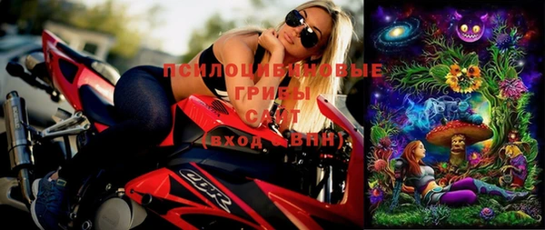 молекула духа Балахна