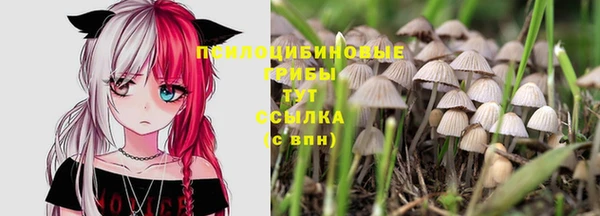 молекула духа Балахна