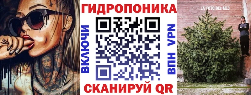 Бошки Шишки ГИДРОПОН  Краснозаводск 